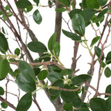 Gerald Artificial Leaf Tree by Christopher Knight Home